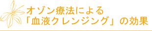 ��������ˡ�ˤ��ַ�ե���󥸥󥰡פθ���
