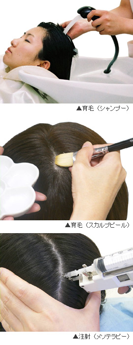 ȱ�ˤ�Ϸ���θ��ݤ��ФƤ��� - ��߷ͧ͵